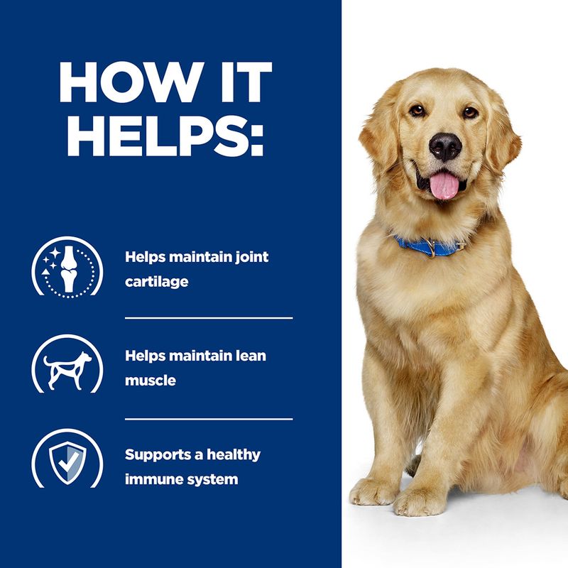 Prescription joint dog food