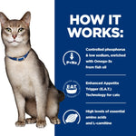 Load image into Gallery viewer, Cat kidney health bundle
