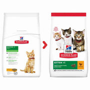 Dry food for kittens under 1