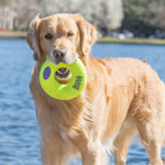 Load image into Gallery viewer, Soft tennis ball donut toy
