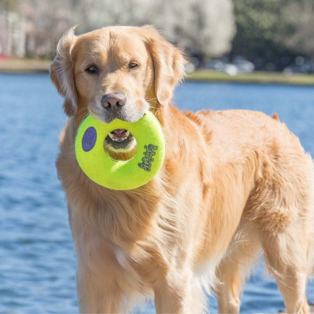 Soft tennis ball donut toy