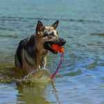 Load image into Gallery viewer, Dog playing with a ball in water
