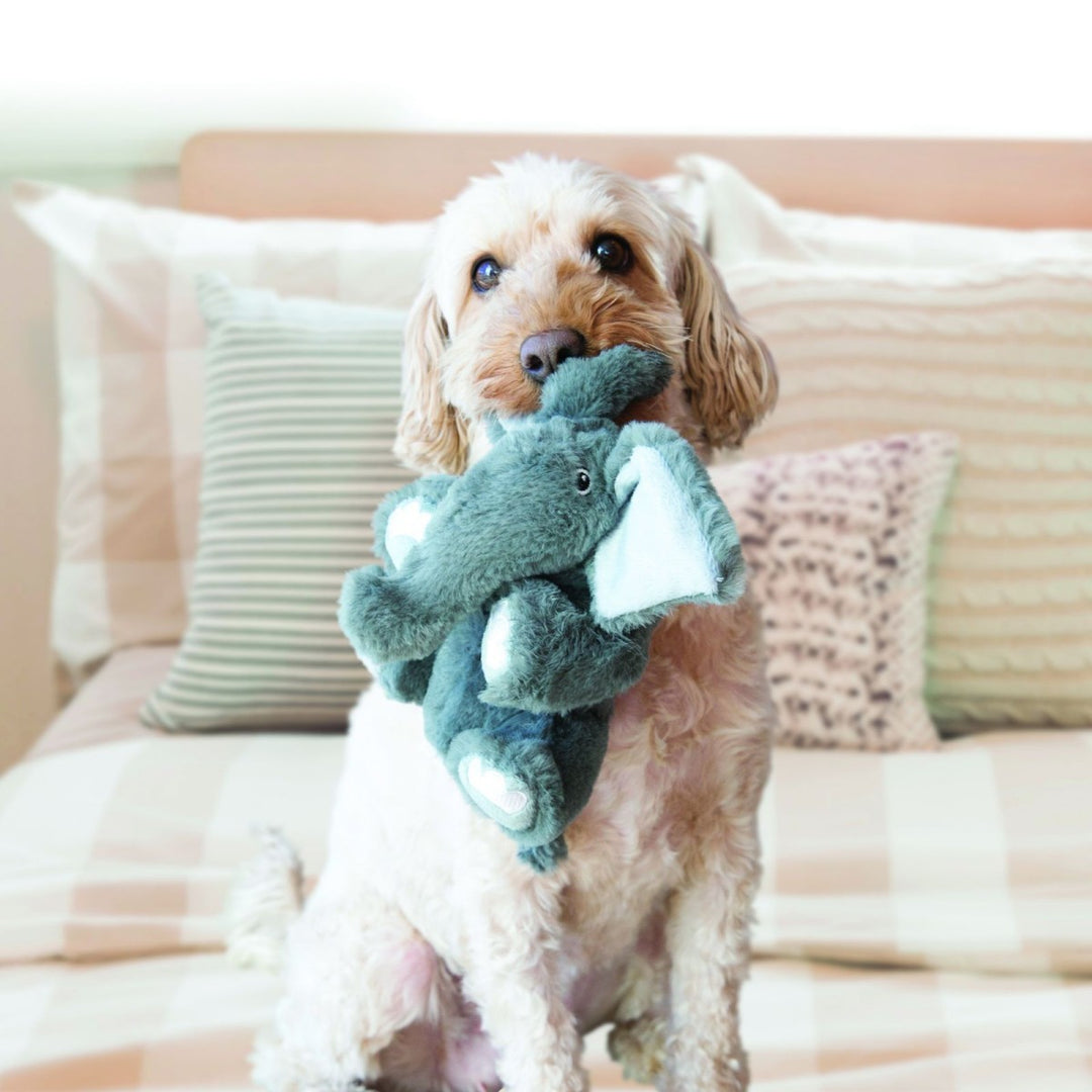 Dog holding a green plush toy in its mouth on a couch