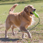 Load image into Gallery viewer, Durable fetch toy for dogs
