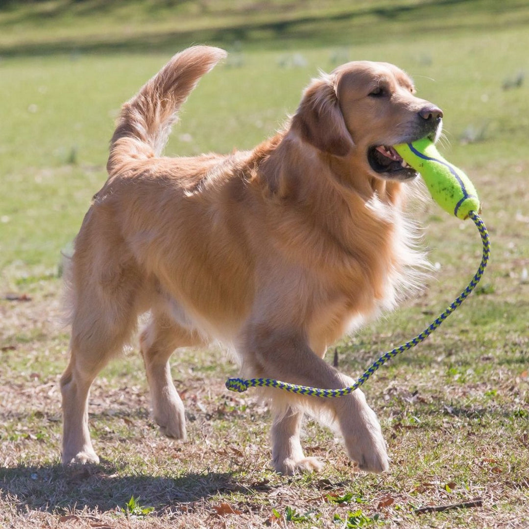 Durable fetch toy for dogs