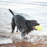 Load image into Gallery viewer, Soft fetch toy for dogs by KONG
