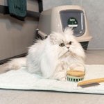 Load image into Gallery viewer, kooa Antibacterial Toilet Mat
