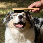 Load image into Gallery viewer, kooa Bamboo Grooming Brush
