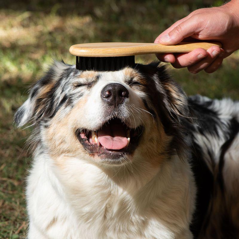 kooa Bamboo Grooming Brush