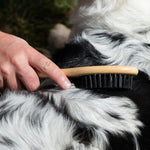 Load image into Gallery viewer, kooa Bamboo Grooming Brush
