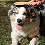 Load image into Gallery viewer, kooa Bamboo Grooming Brush
