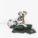 Load image into Gallery viewer, kooa Deluxe Microfibre Dog Bathrobe
