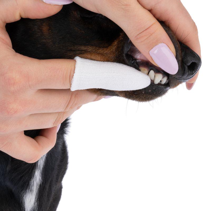 kooa Dental Care Fingers