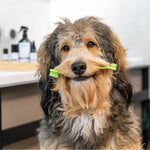 Load image into Gallery viewer, kooa Dental Care Set
