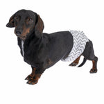 Load image into Gallery viewer, kooa Male Nappies with Charcoal
