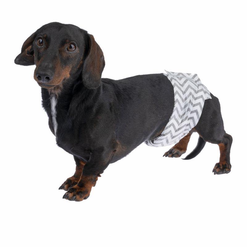 kooa Male Nappies with Charcoal