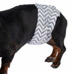 Load image into Gallery viewer, kooa Male Nappies with Charcoal
