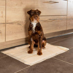 Load image into Gallery viewer, kooa Puppy Training Pads with Bamboo
