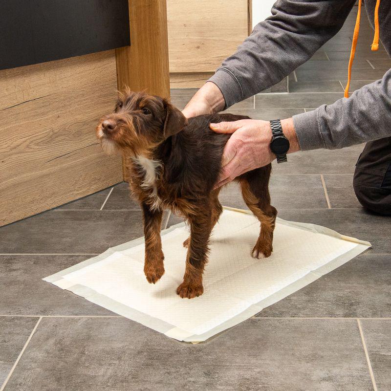 kooa Puppy Training Pads with Bamboo