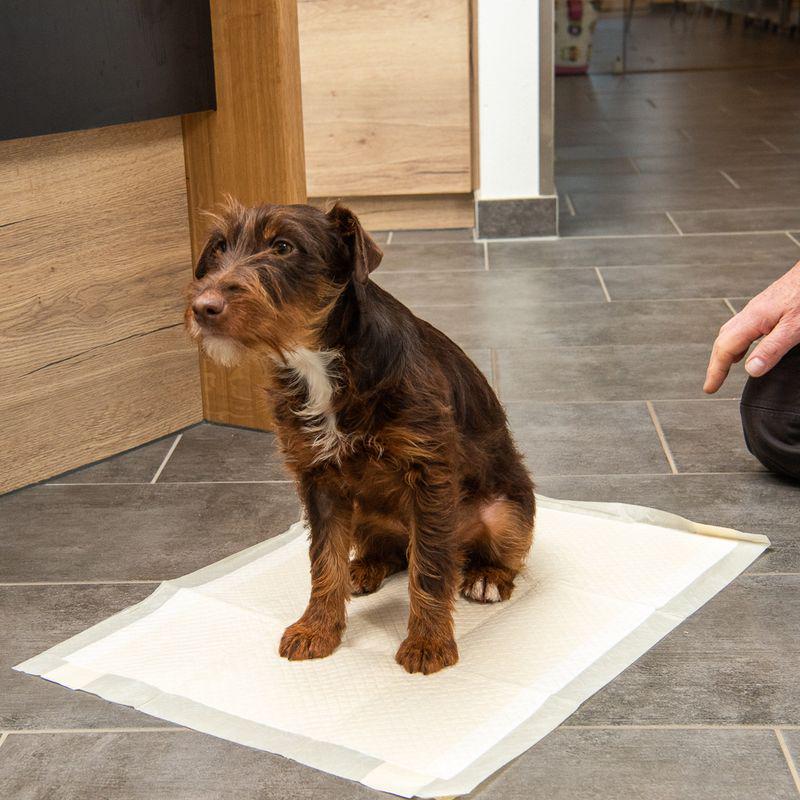 kooa Puppy Training Pads with Bamboo