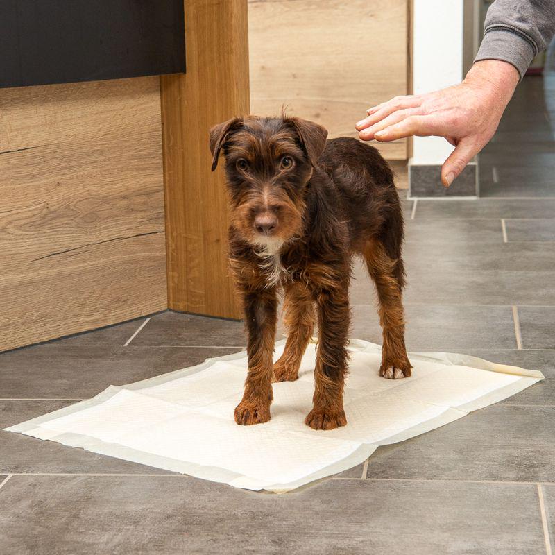 kooa Puppy Training Pads with Bamboo