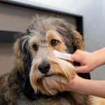 Load image into Gallery viewer, kooa Sensitive Ear and Eye Finger Pads
