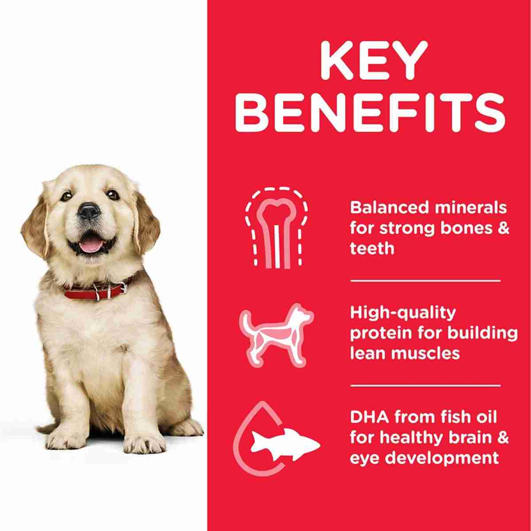 Science Plan large puppy food