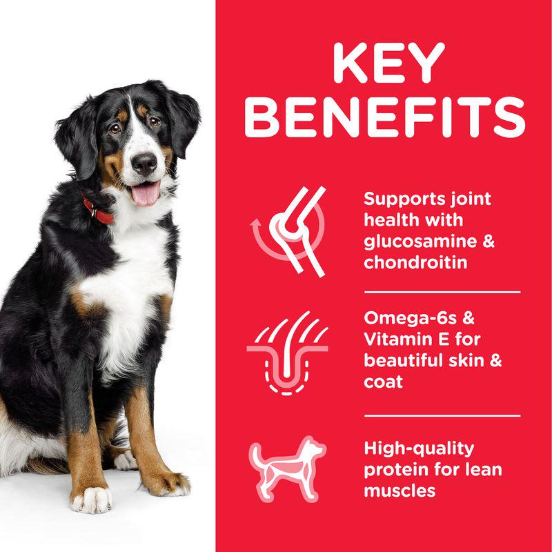 Science Plan dog formula