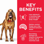 Load image into Gallery viewer, Chicken kibble for mature dogs
