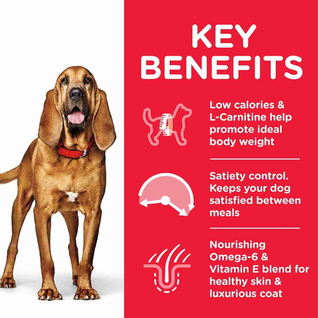 Chicken kibble for mature dogs