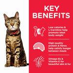 Load image into Gallery viewer, Hill&#39;s adult cat pouches light

