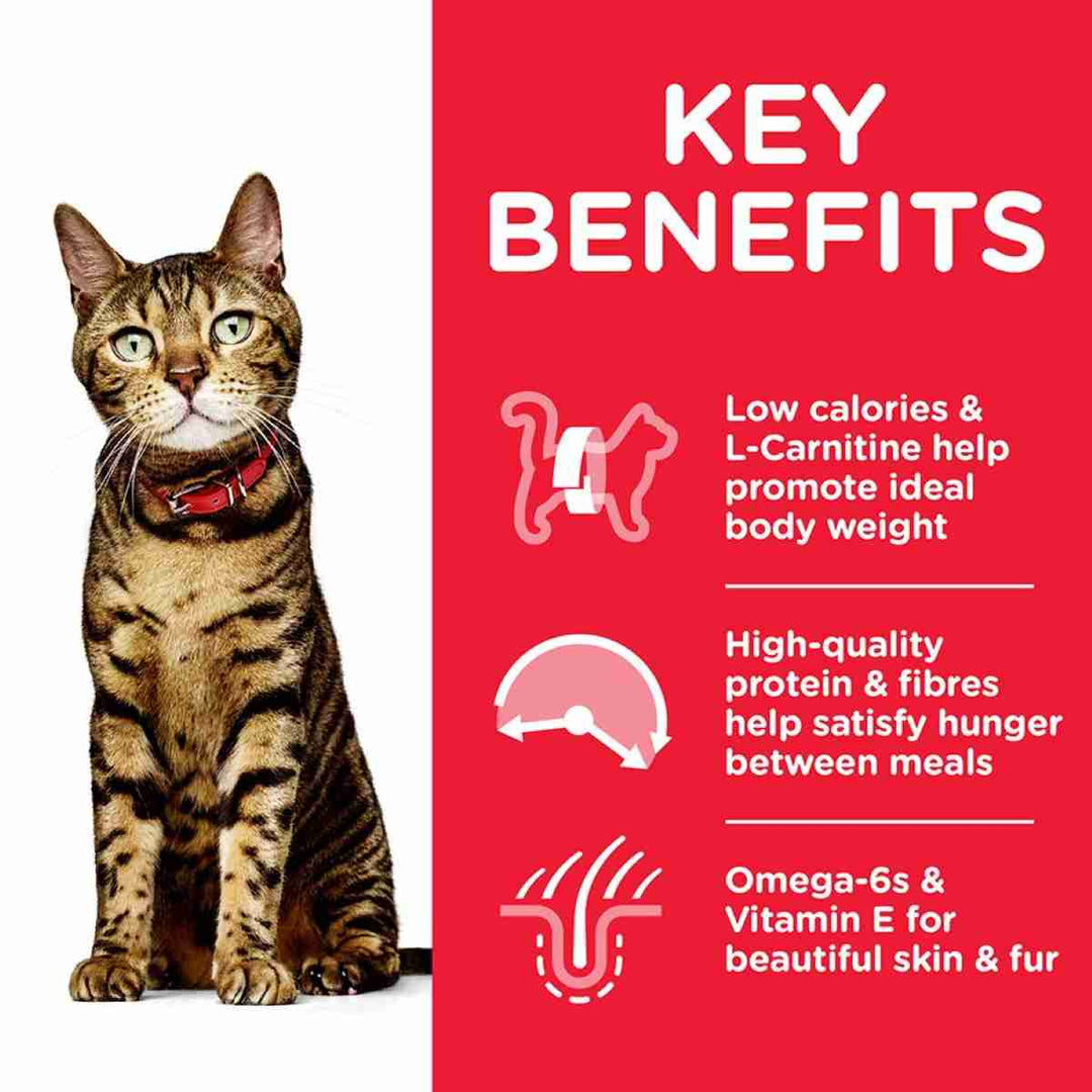 Hill's adult cat pouches light