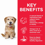 Load image into Gallery viewer, Science Plan vitality 7+ dogs
