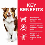 Load image into Gallery viewer, Science Plan 7+ dog food
