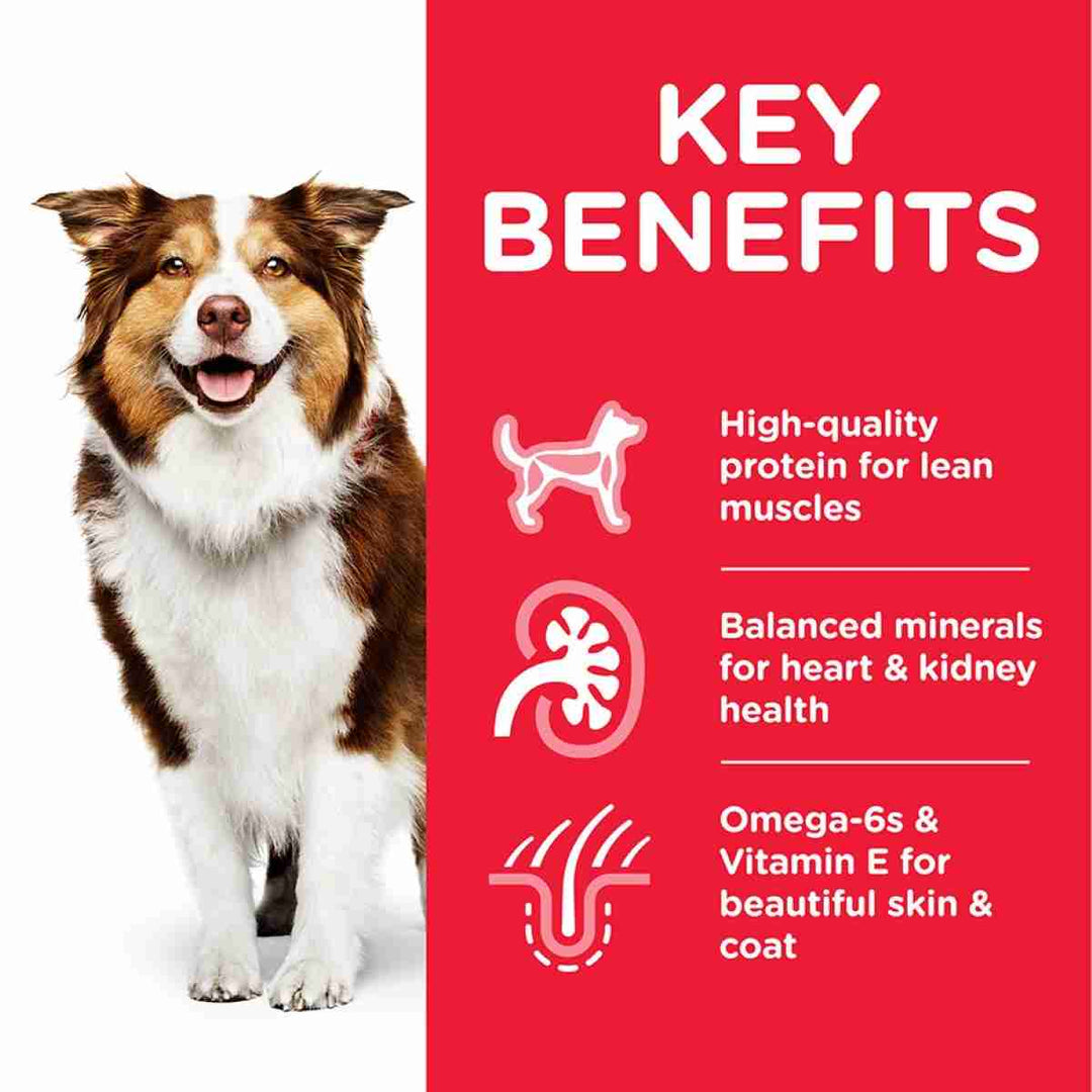 Science Plan 7+ dog food