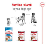 Load image into Gallery viewer, Royal Canin adult loaf
