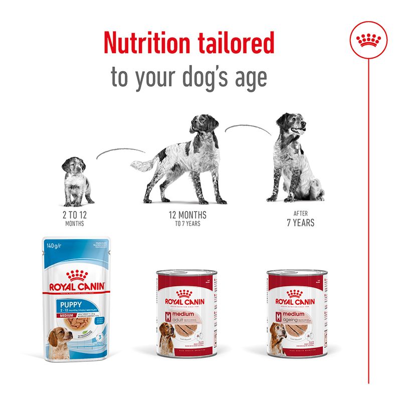 Royal Canin adult loaf