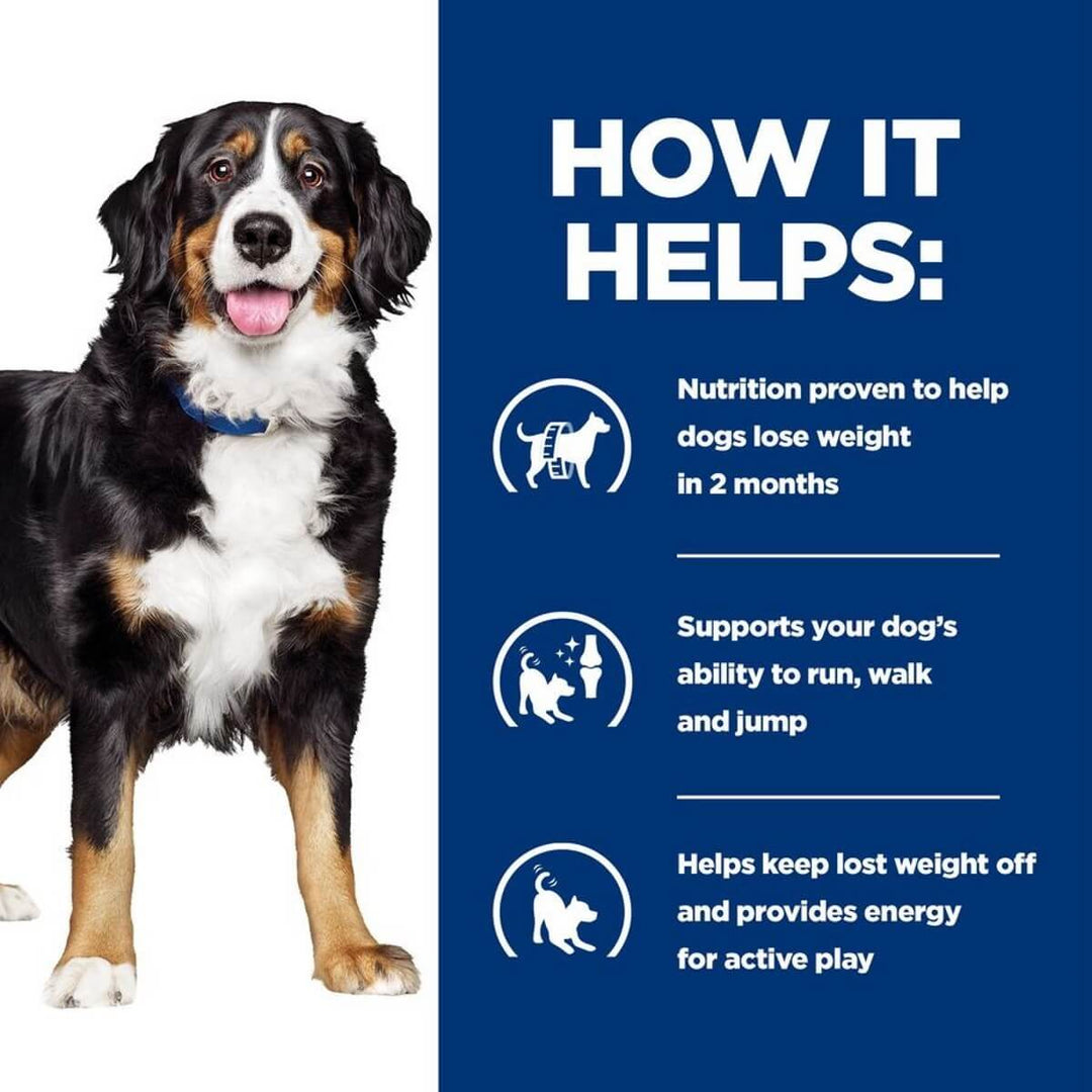 Dog with text on how it helps with weight loss and activity support.