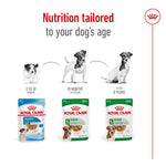 Load image into Gallery viewer, Savory mini dog meal

