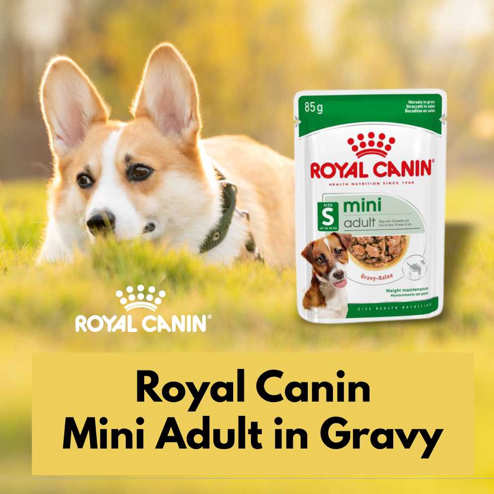 Royal Canin Adult in Gravy