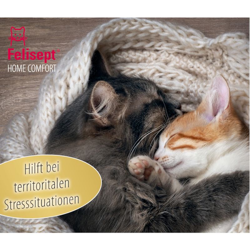 White calming collar for kittens