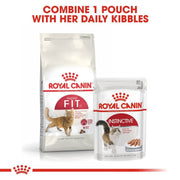 Two Royal Canin cat food packages on a white background with text.