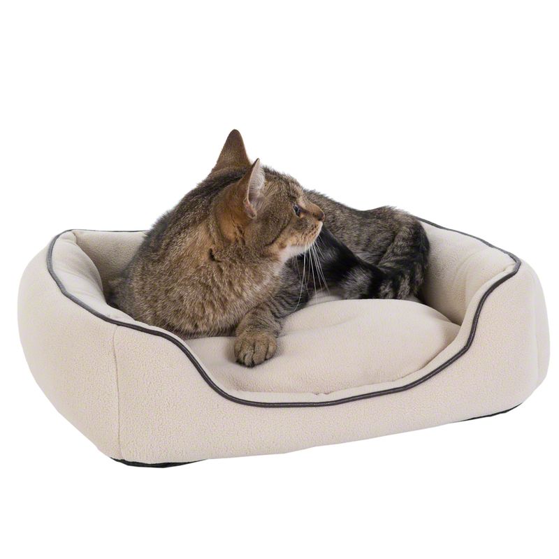 Cat lying on a beige pet bed with a white background