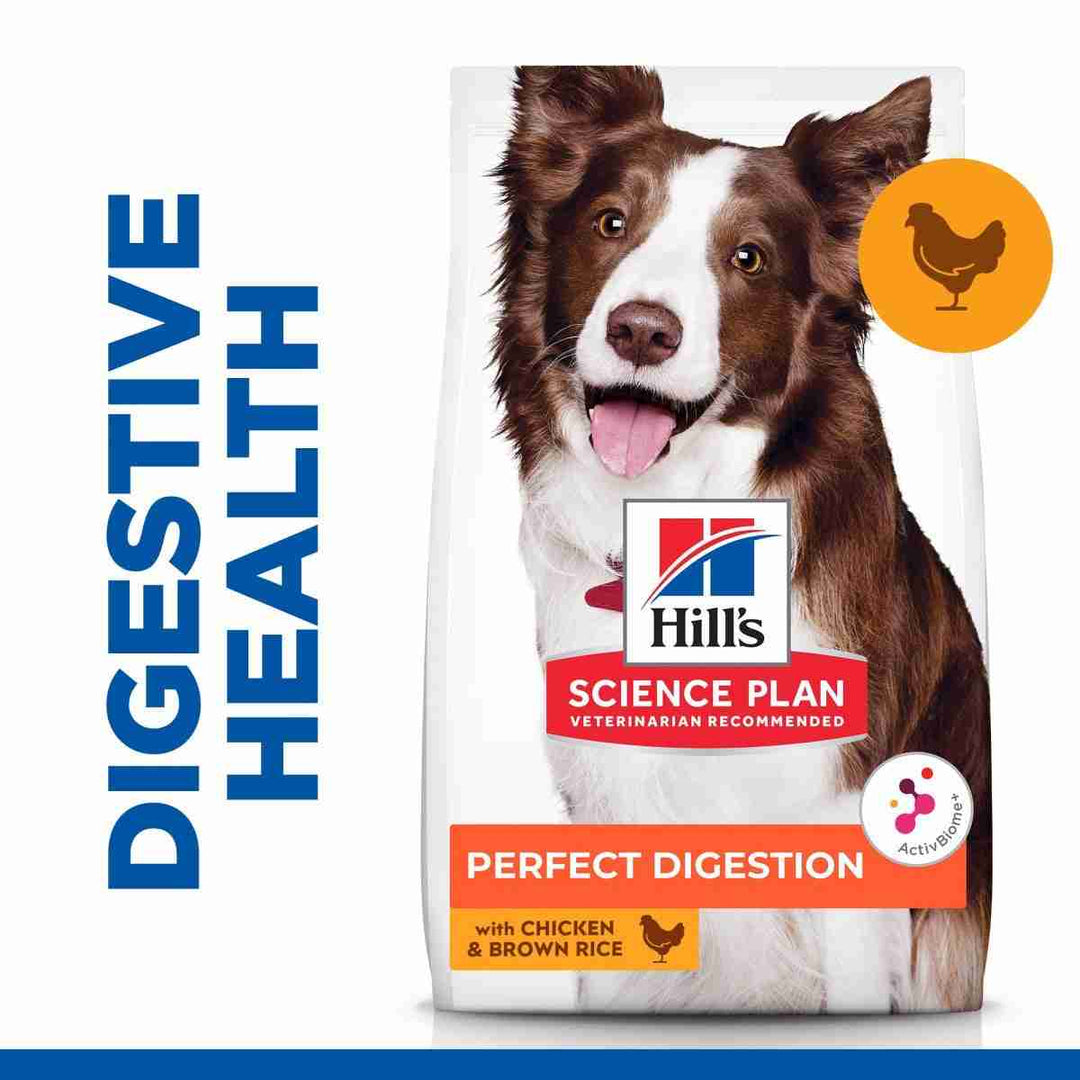 Adult dog food for gut health