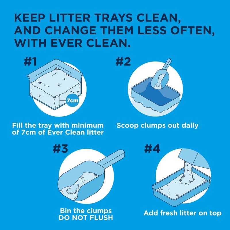 Instructions for keeping litter trays clean with Ever Clean product on a blue background