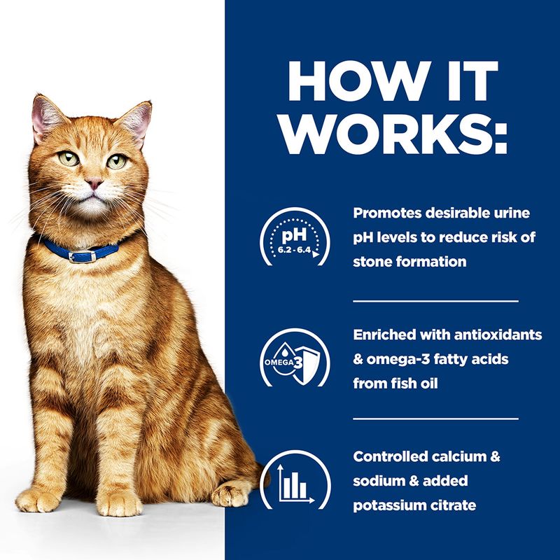 Hill's c/d urinary care wet cat food