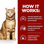 Load image into Gallery viewer, Cat with a red collar on a white background next to a red text box about cat food benefits.
