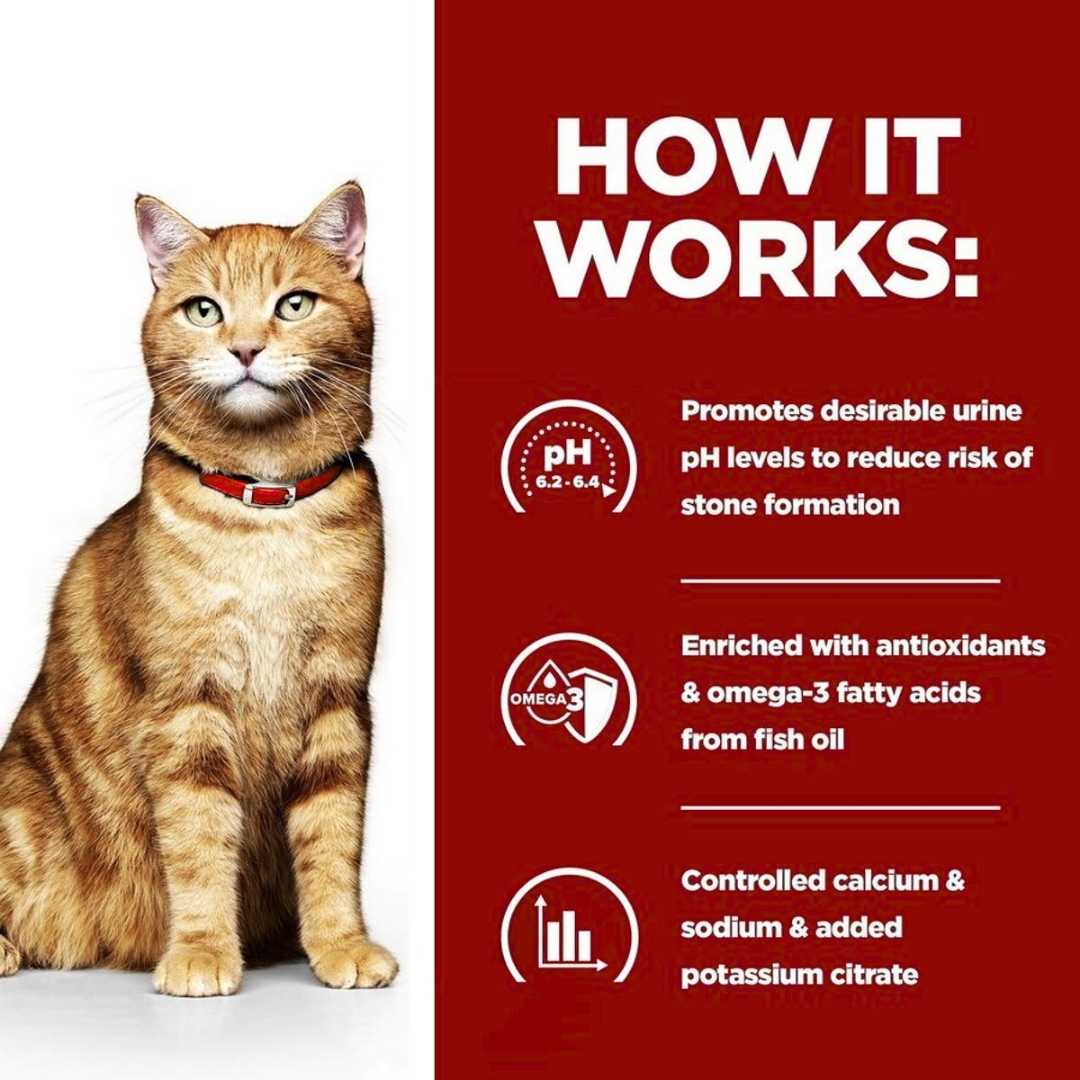 Hill’s CD cat pouches
