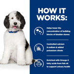 Load image into Gallery viewer, Dog with a blue background and text about bladder stone prevention
