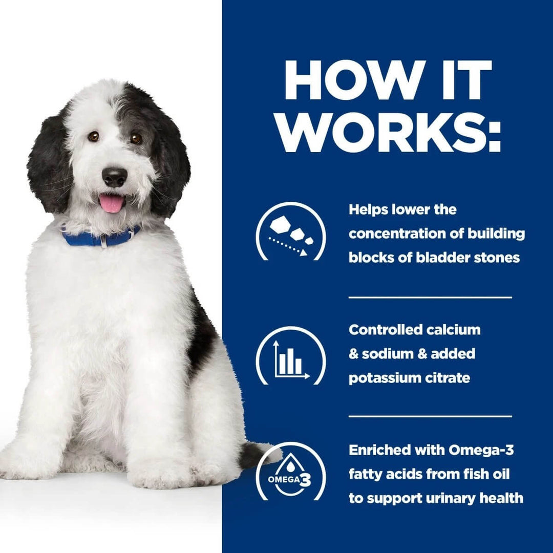 Dog with text explaining how a product works to lower bladder stone concentration.